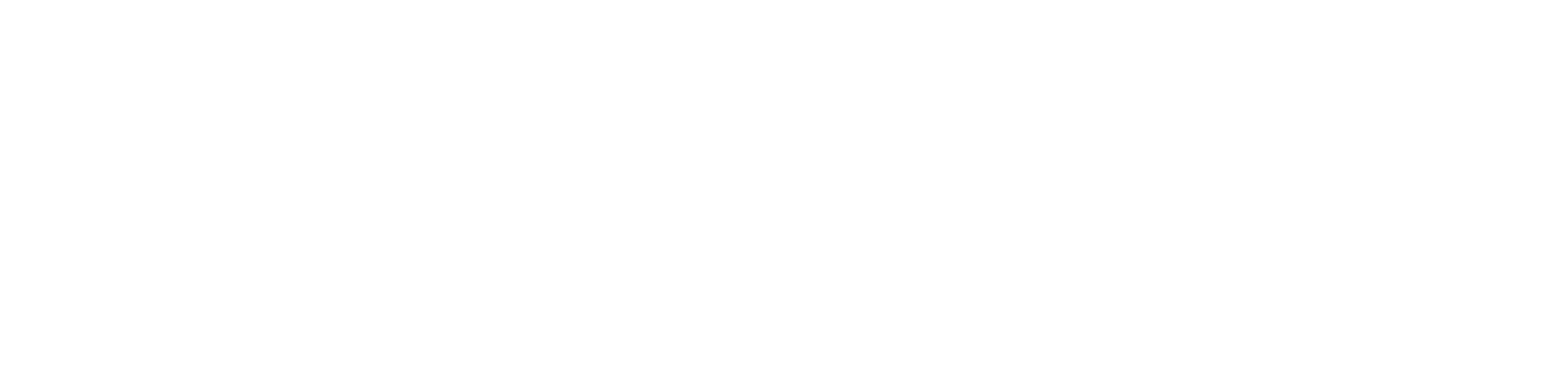 website-logo